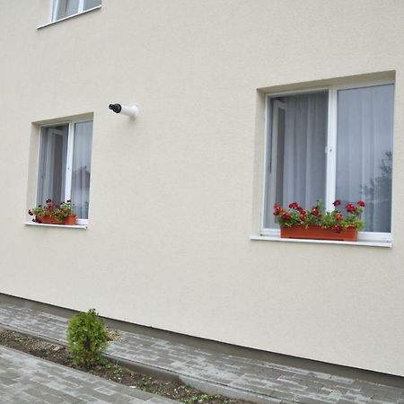 Ana Cristina Apartament Σιγκισοάρα Εξωτερικό φωτογραφία