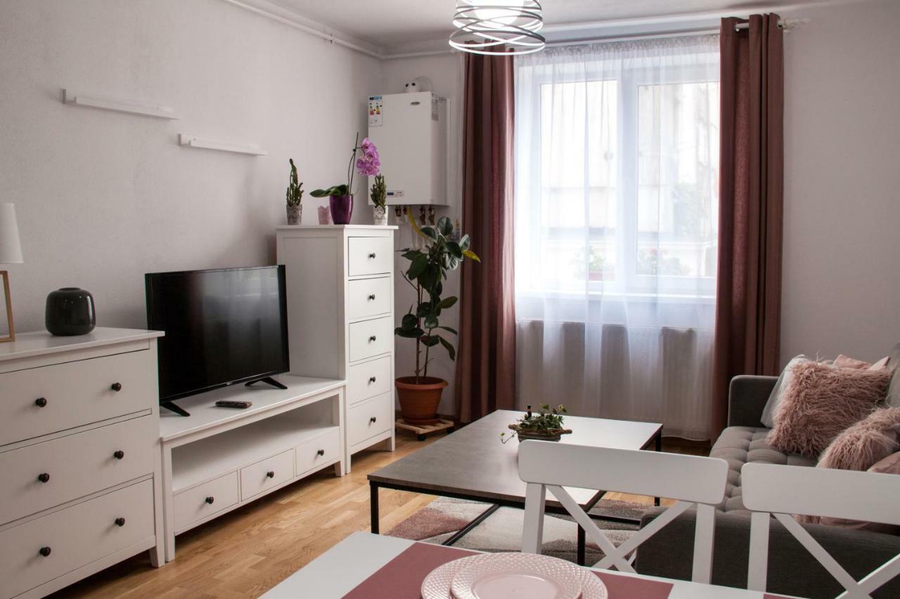 Ana Cristina Apartament Σιγκισοάρα Εξωτερικό φωτογραφία