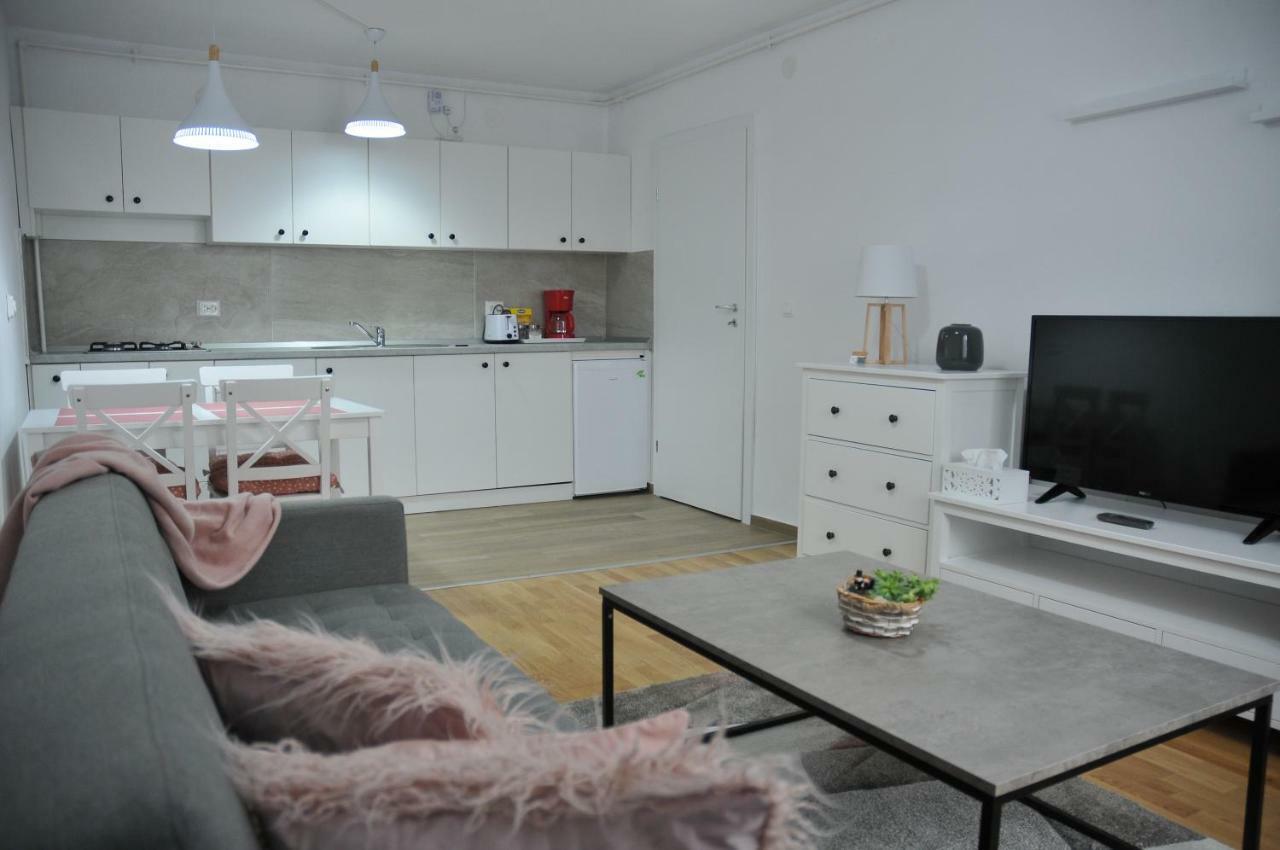Ana Cristina Apartament Σιγκισοάρα Εξωτερικό φωτογραφία