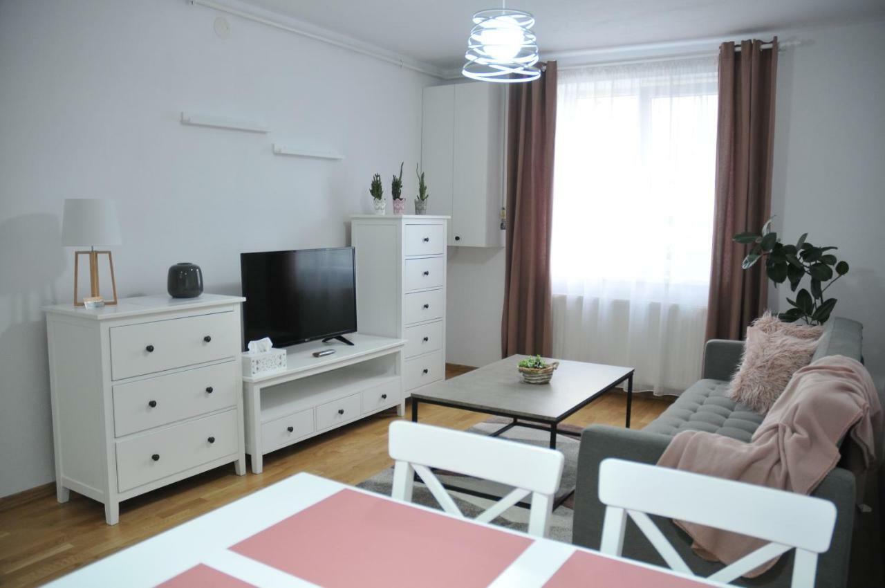 Ana Cristina Apartament Σιγκισοάρα Εξωτερικό φωτογραφία